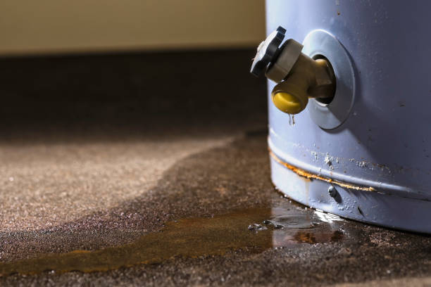 Water damage restoration mold remediation in Lanark, IL