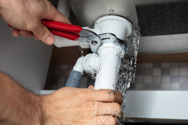 Best Carpet water damage restoration  in Lanark, IL