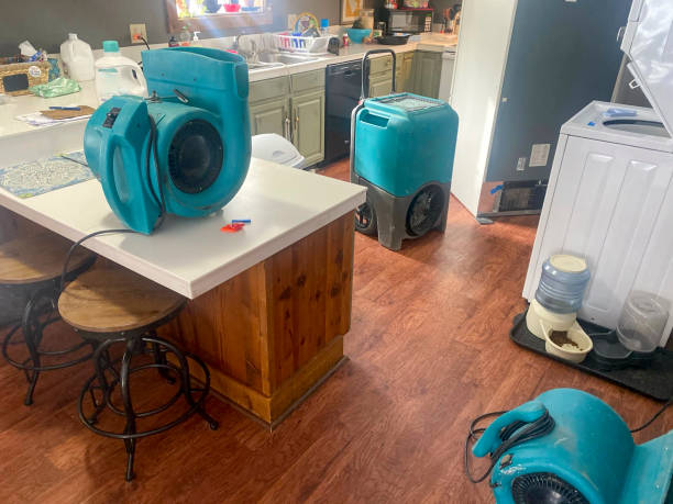 Best Sewage cleanup and water damage restoration  in Lanark, IL