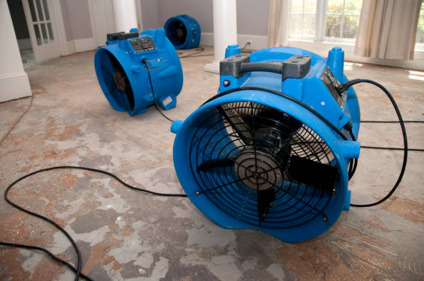 Best Water damage restoration mold remediation  in Lanark, IL