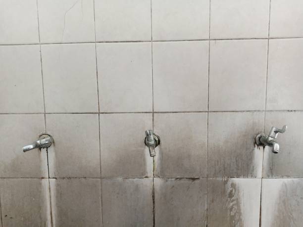Best Commercial water damage restoration  in Lanark, IL