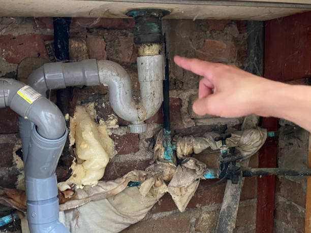 Best Ceiling water damage repair  in Lanark, IL