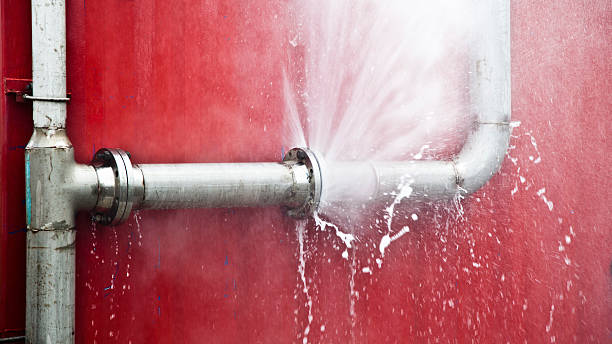 Best Emergency water damage restoration  in Lanark, IL
