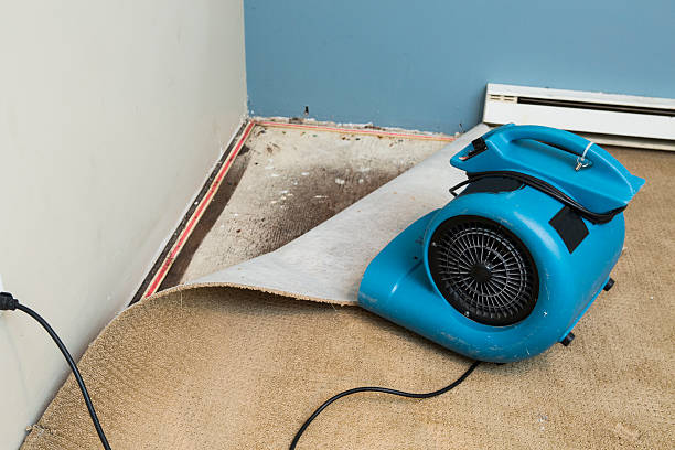 Local water damage restoration in Lanark, IL
