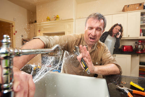 Best Basement water damage restoration  in Lanark, IL